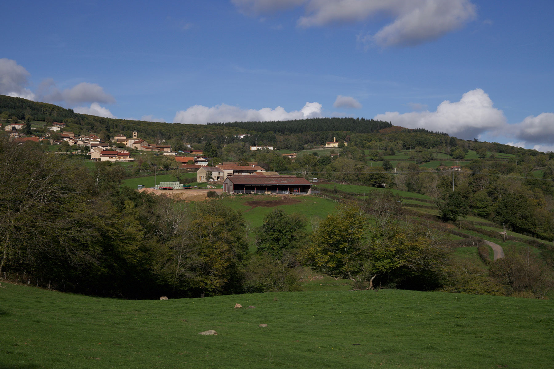 Village de Bergesserin