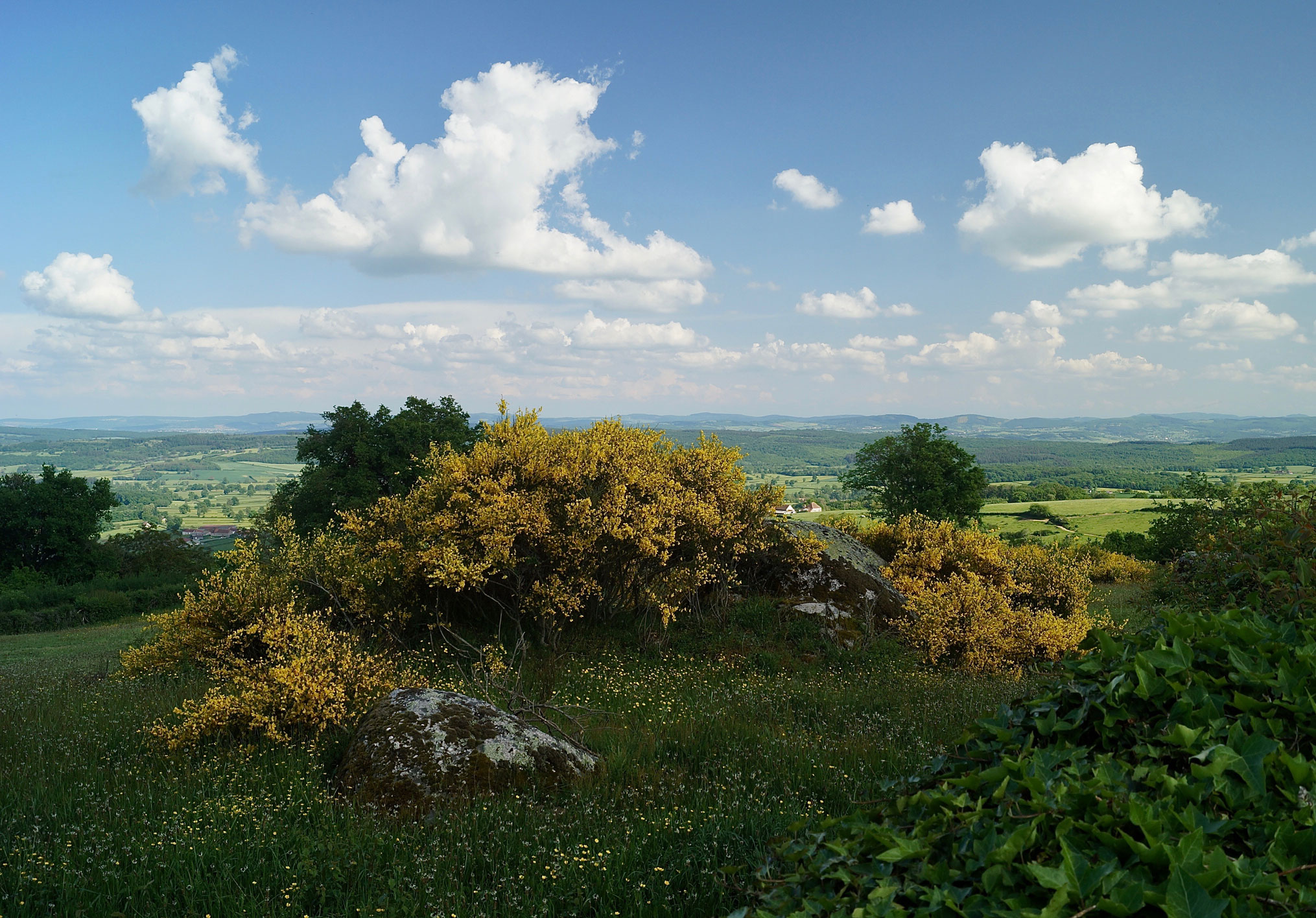 Paysage depuis la chapelle Saint Quentin en direction du Charolais