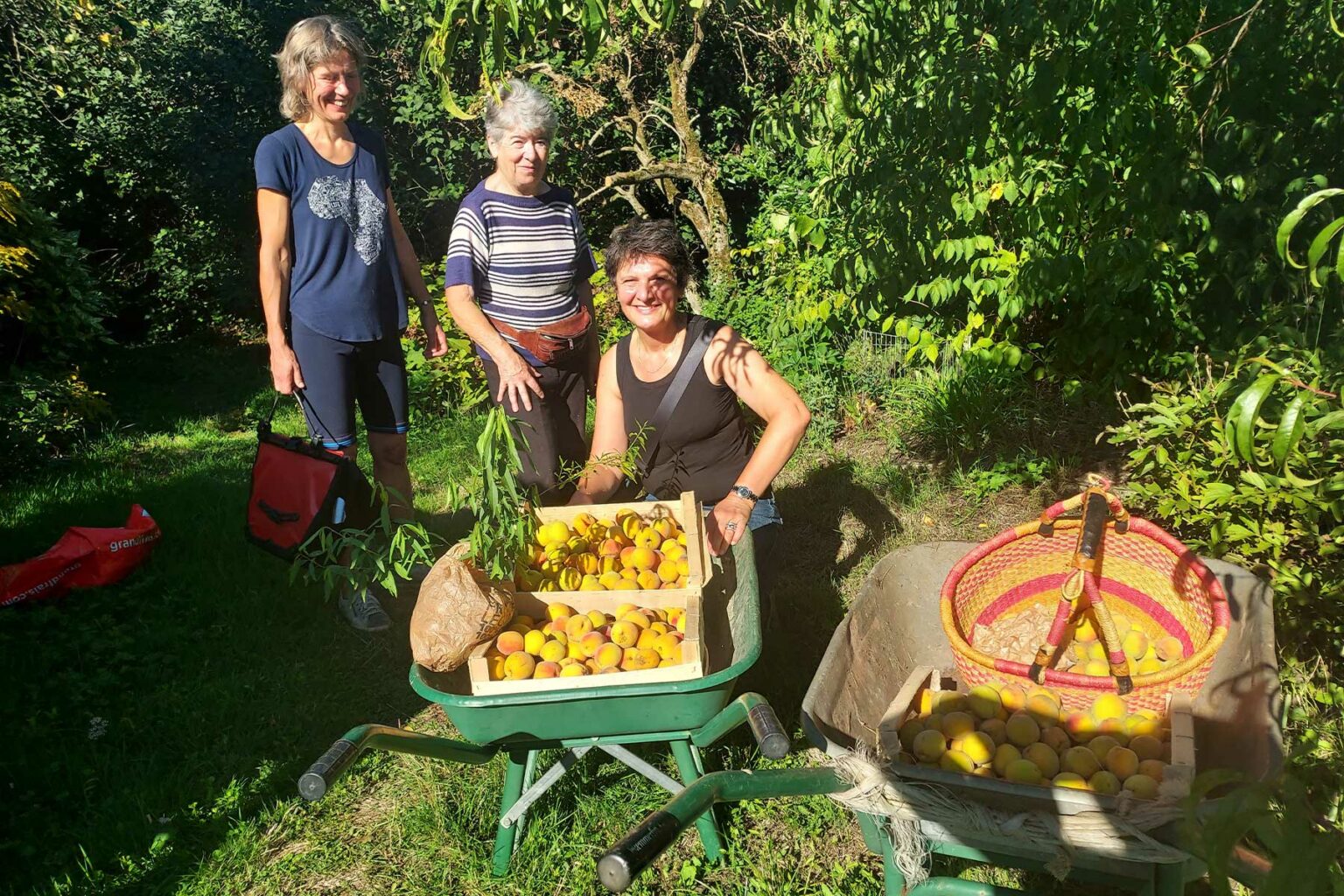 De la cueillette solidaire au dessert des enfants : une belle histoire ...